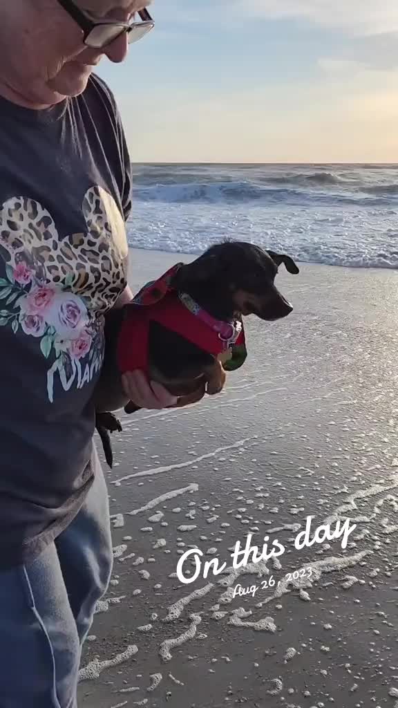 @willie_the_grumpydog
