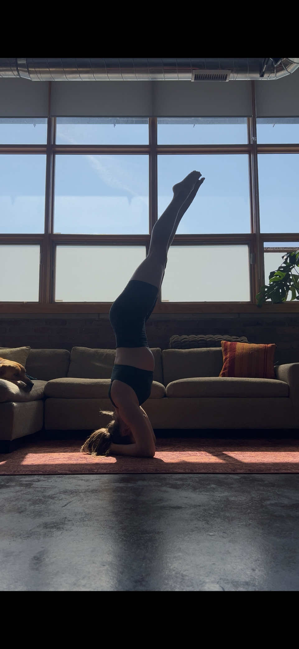 @averyjanehicks