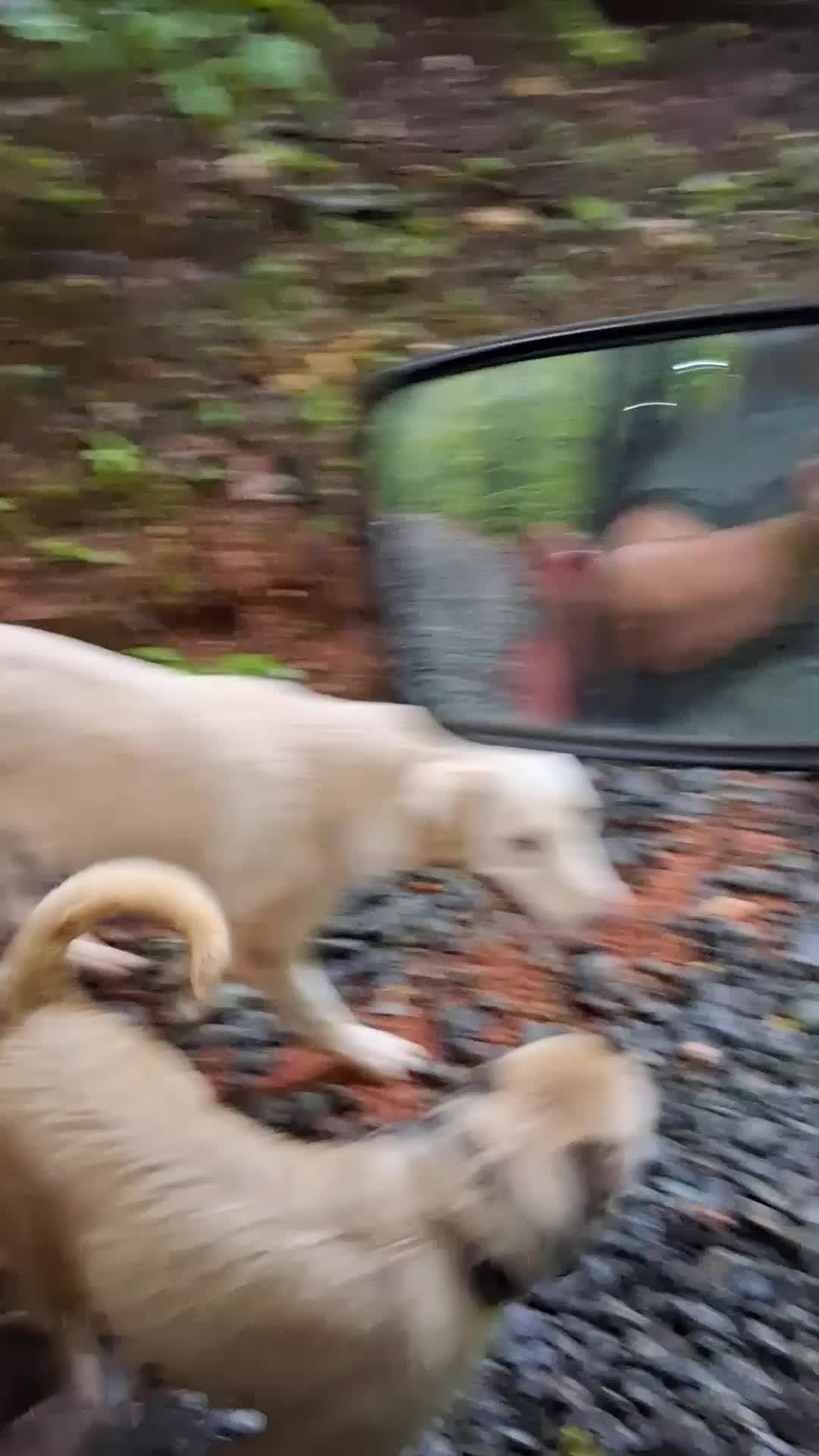 @Natalie Thatmalinoislady
