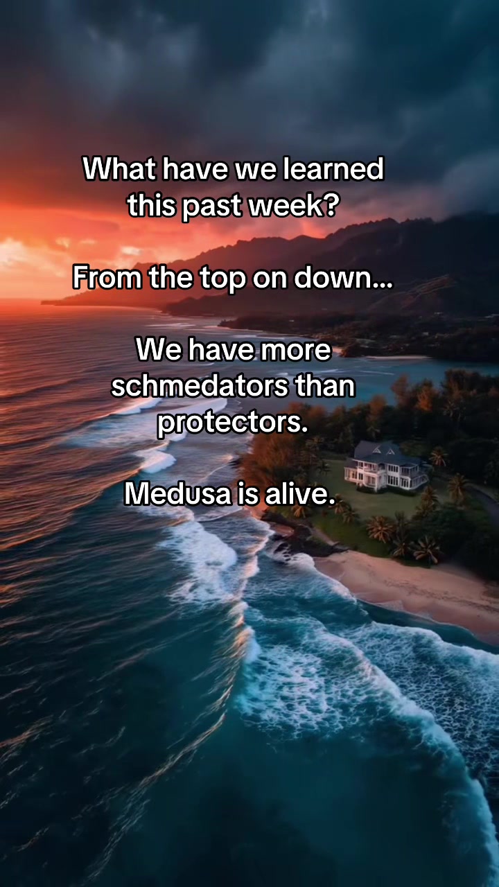 @kittyrebellion