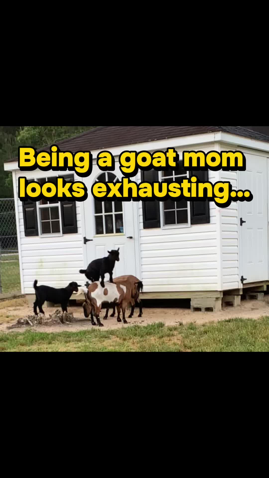 @BigWigEnergy