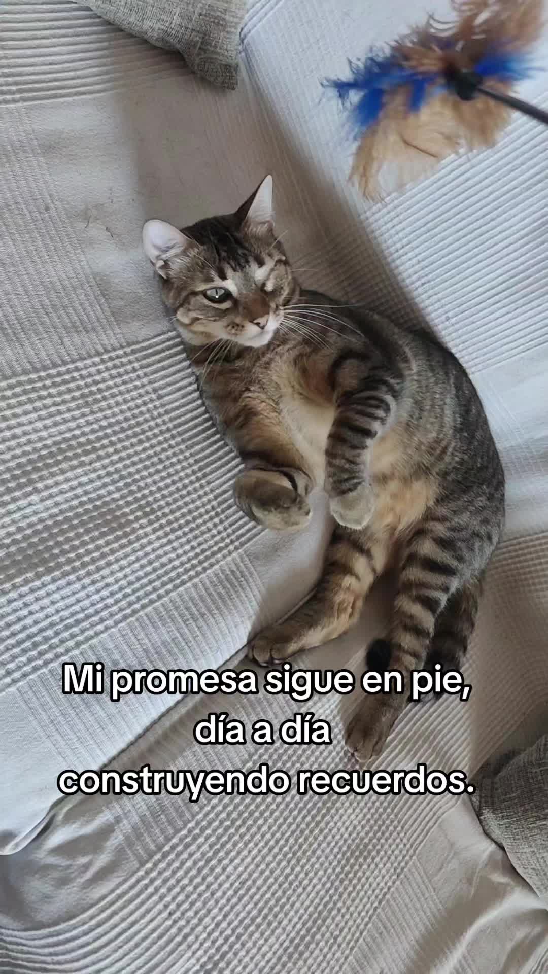 @Andy