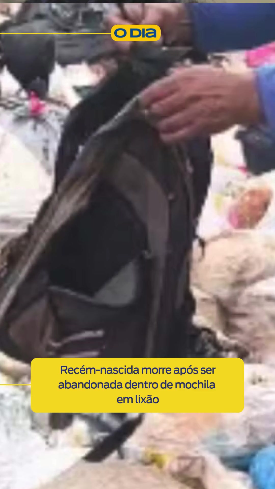 @Jornal O Dia