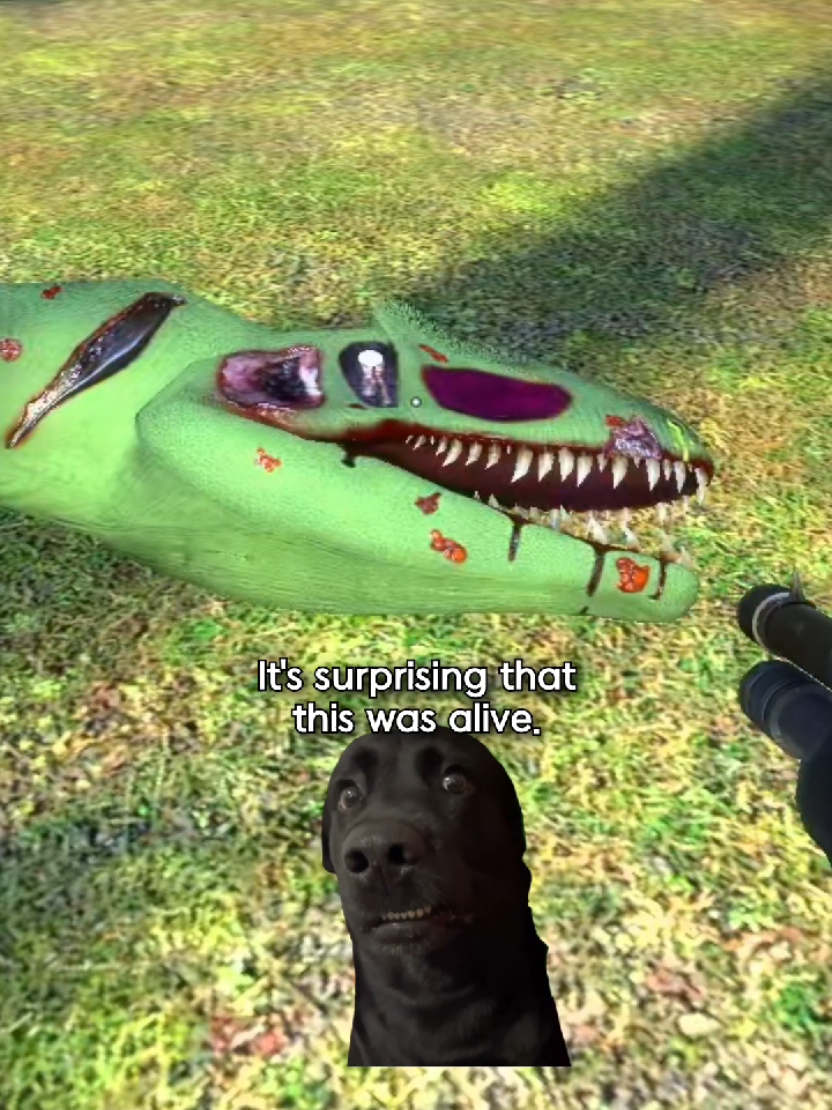 @Captain Jurassic