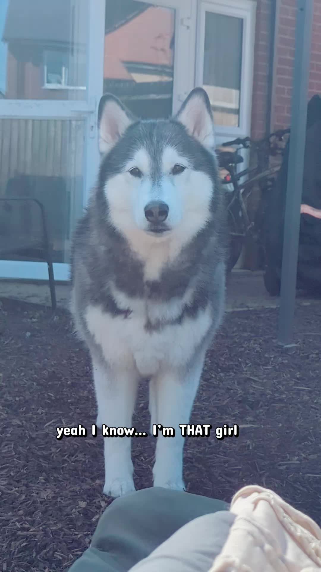@Freya & Kuma