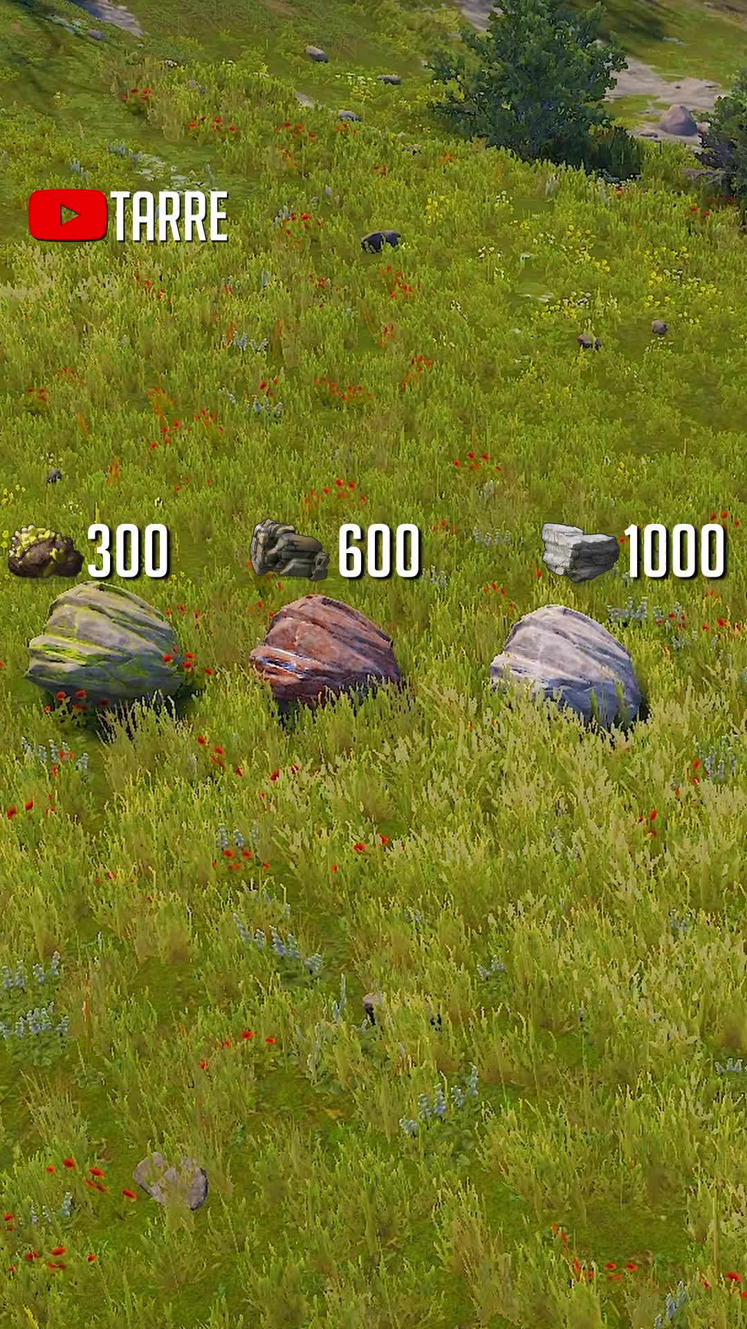 @Tarre - Rust Content Creator