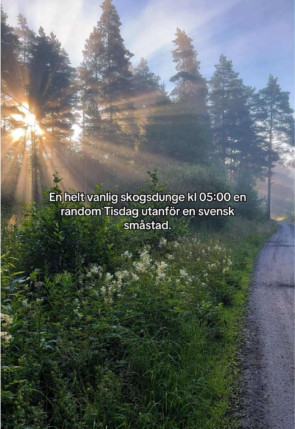 @Olle Nilsson