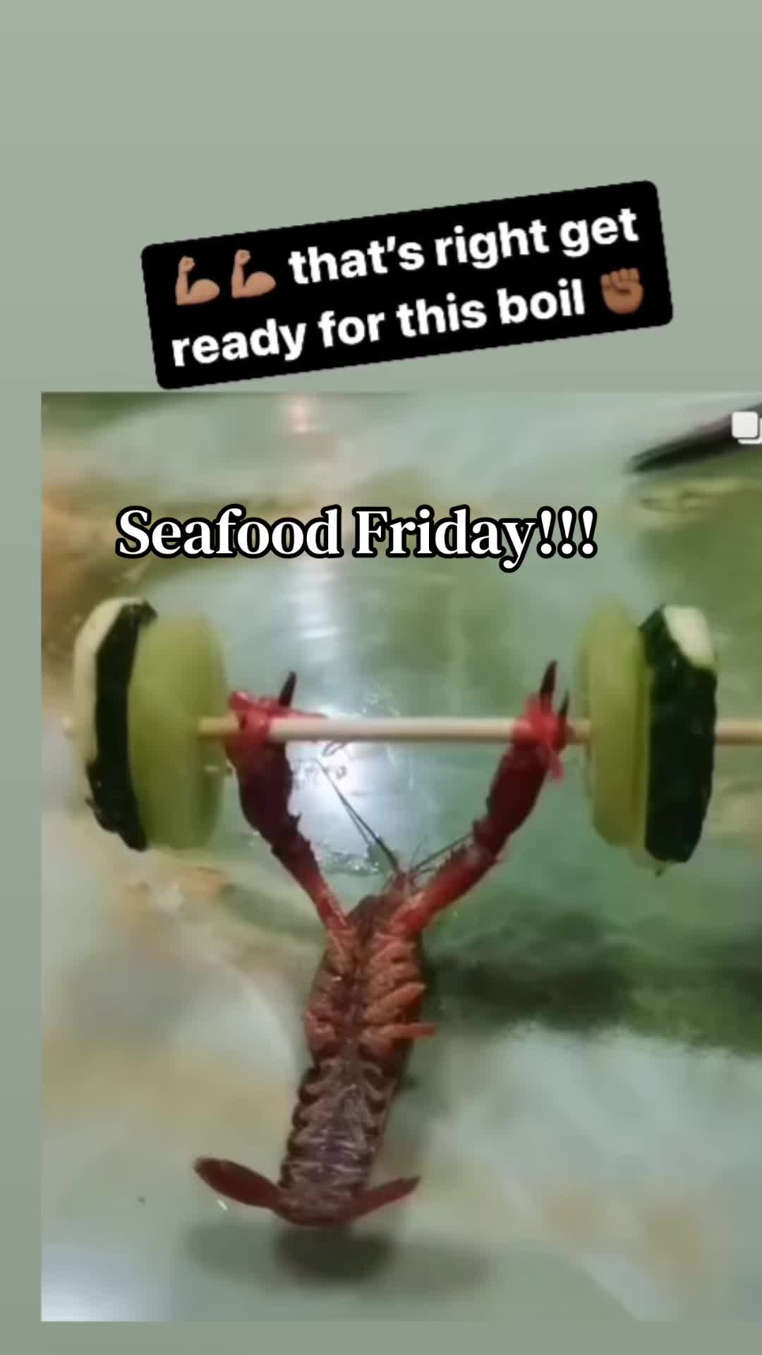 @charminitaangel
