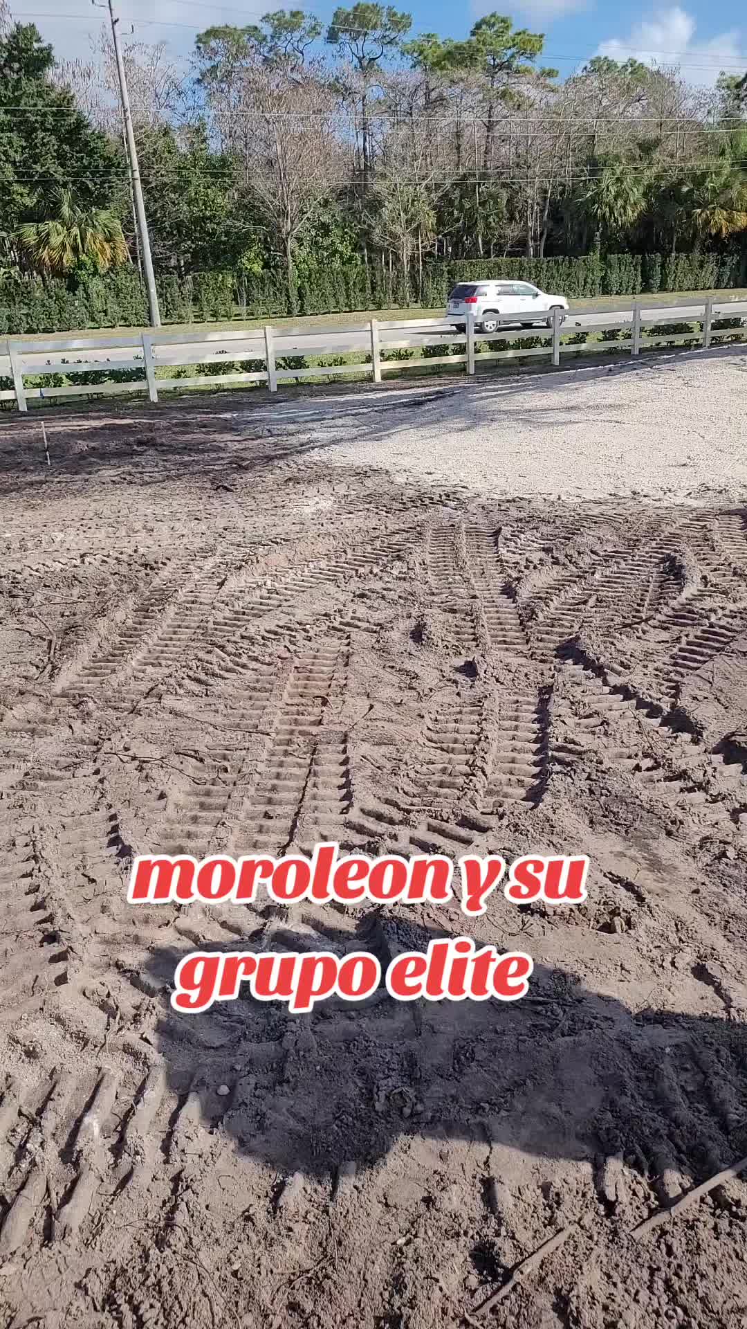 @El sic&oacute;logo de la garza