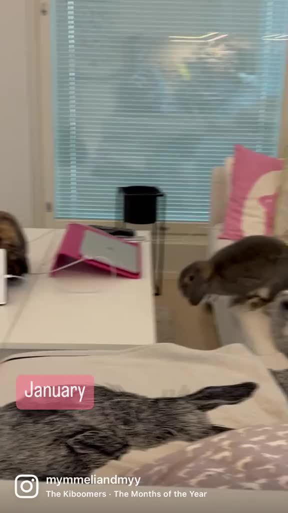 @Mymmeli & Myy