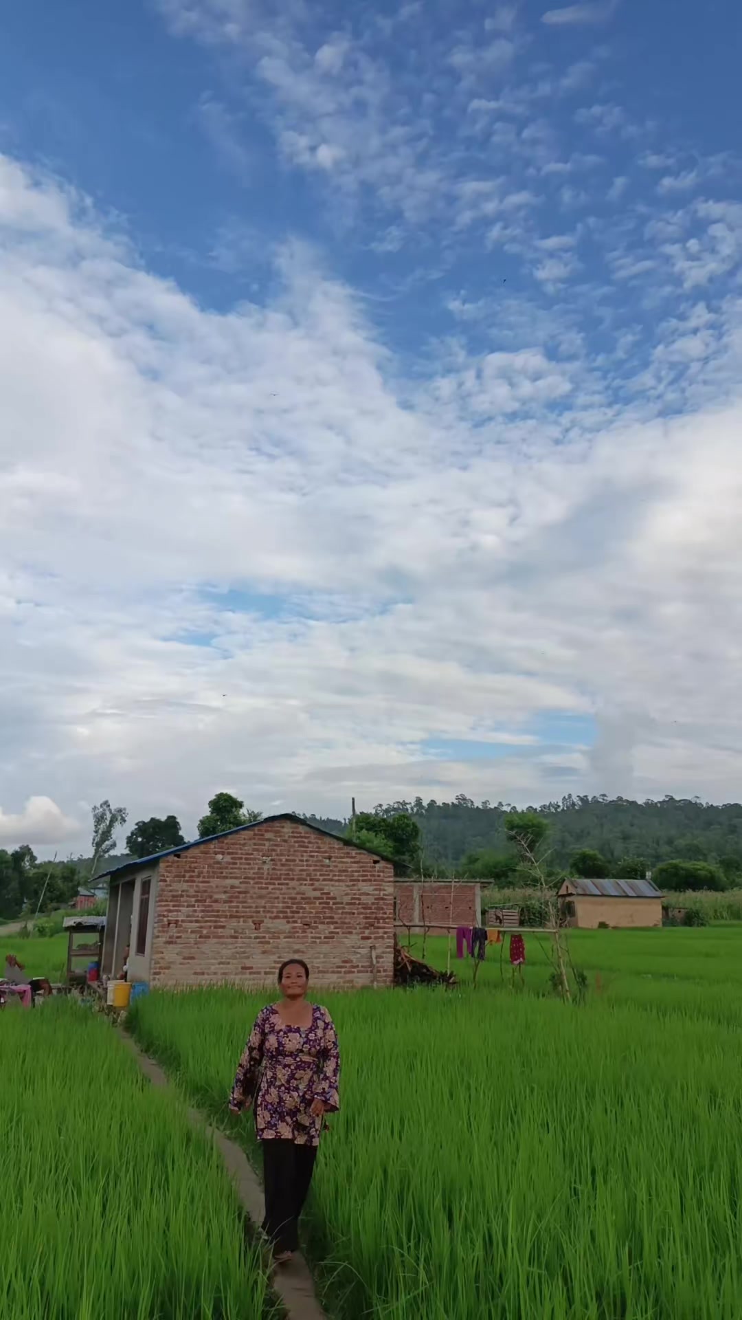 @हेमा B.M
