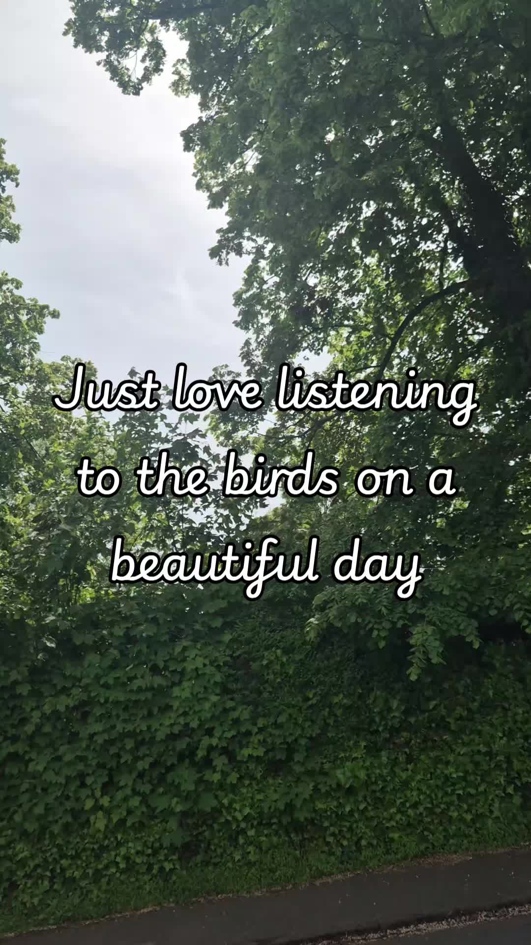 @Less of Lou