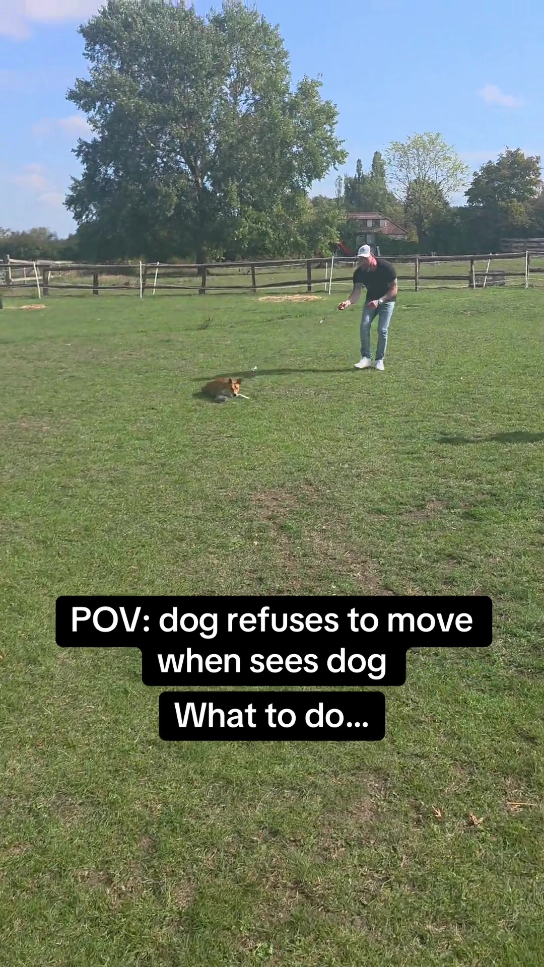 @SouthendDogTraining