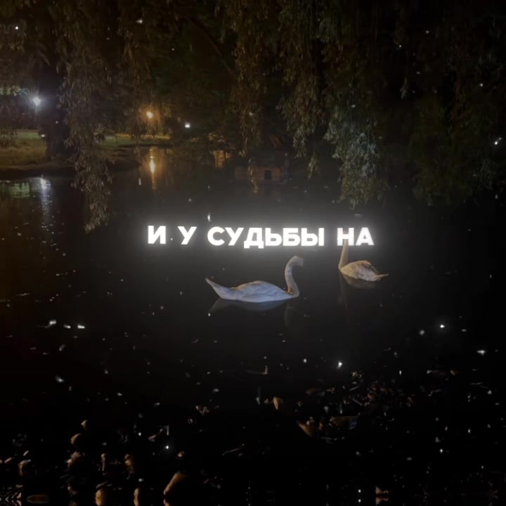 @bestlyricss3