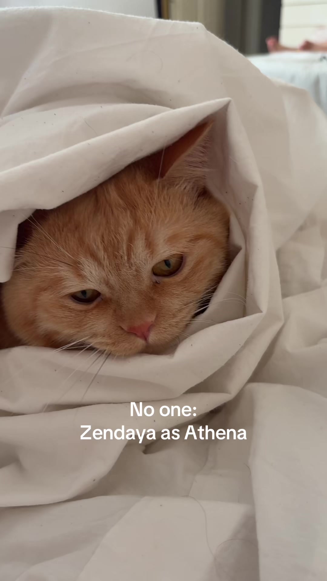 @Büşra Erkaç