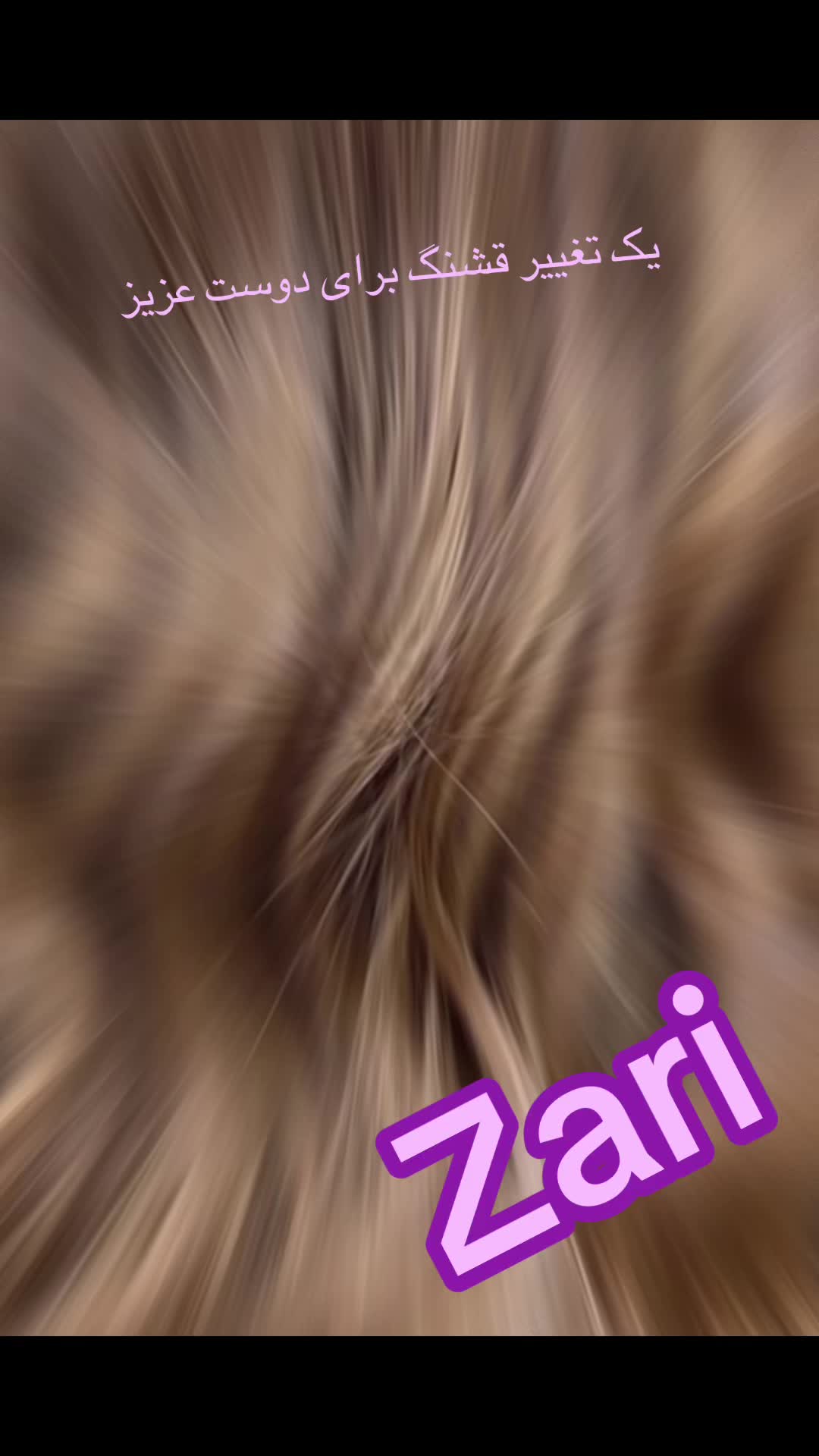 @zari