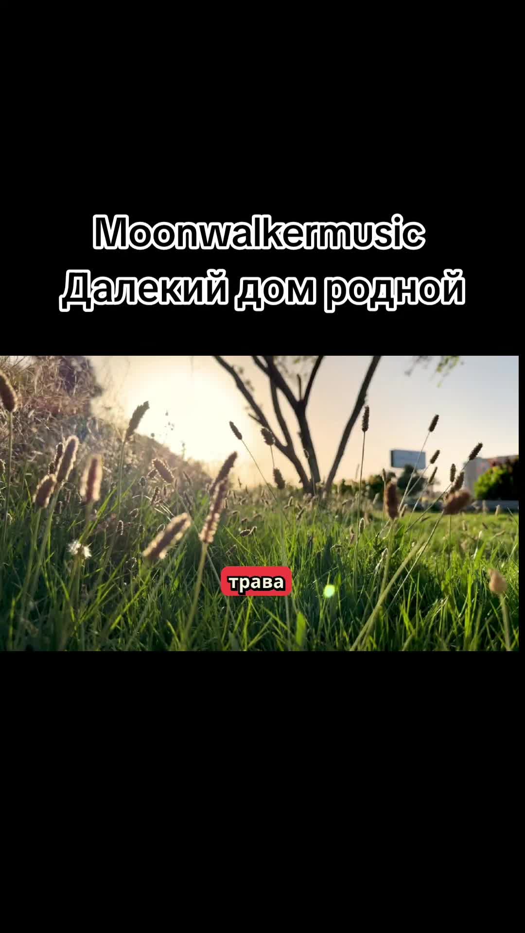 @moonwalkermusic