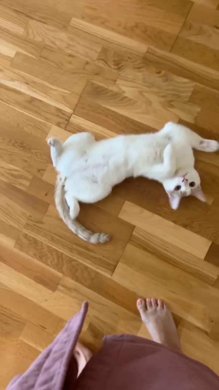 @𝐿𝒾𝓈𝑒