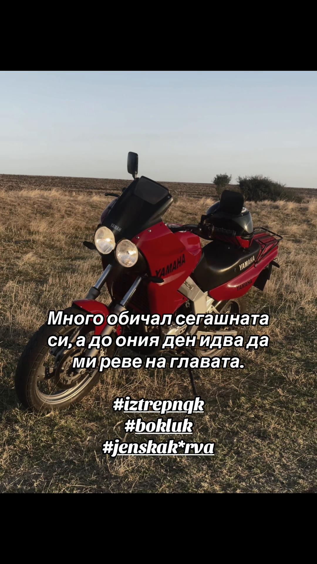 @rev.addict.tdr