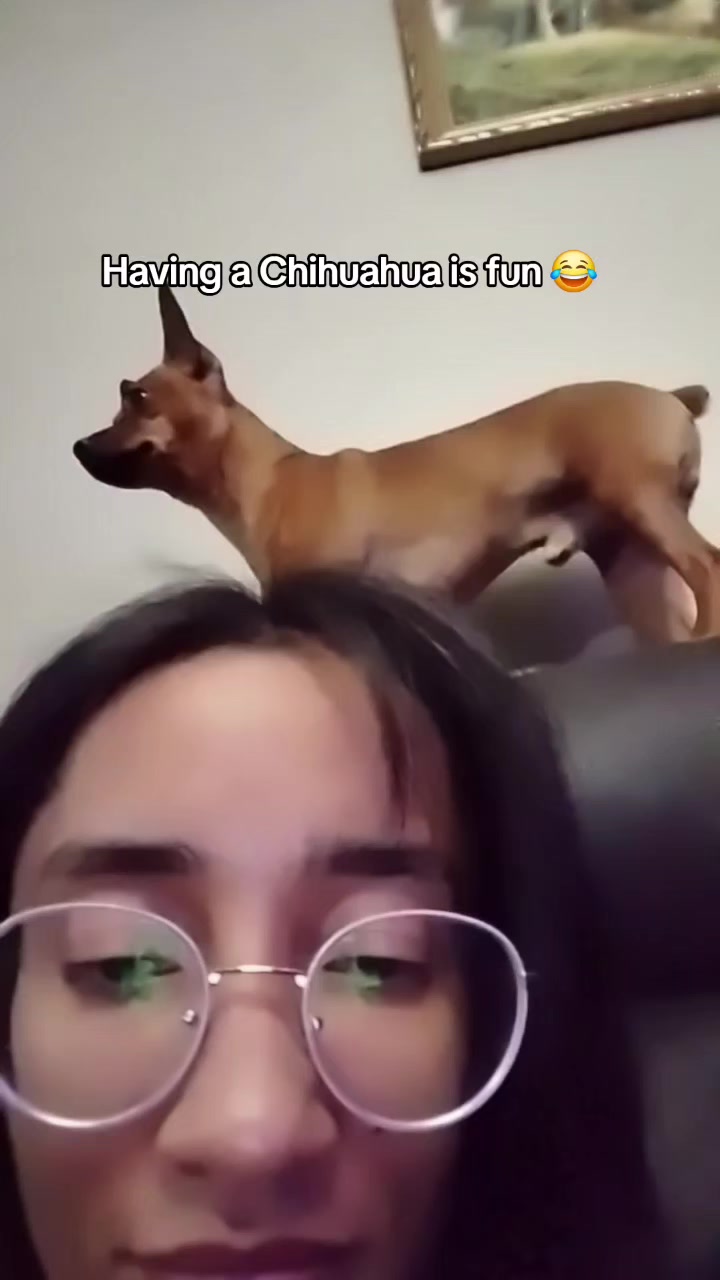 @Fabiana Andrea🦋