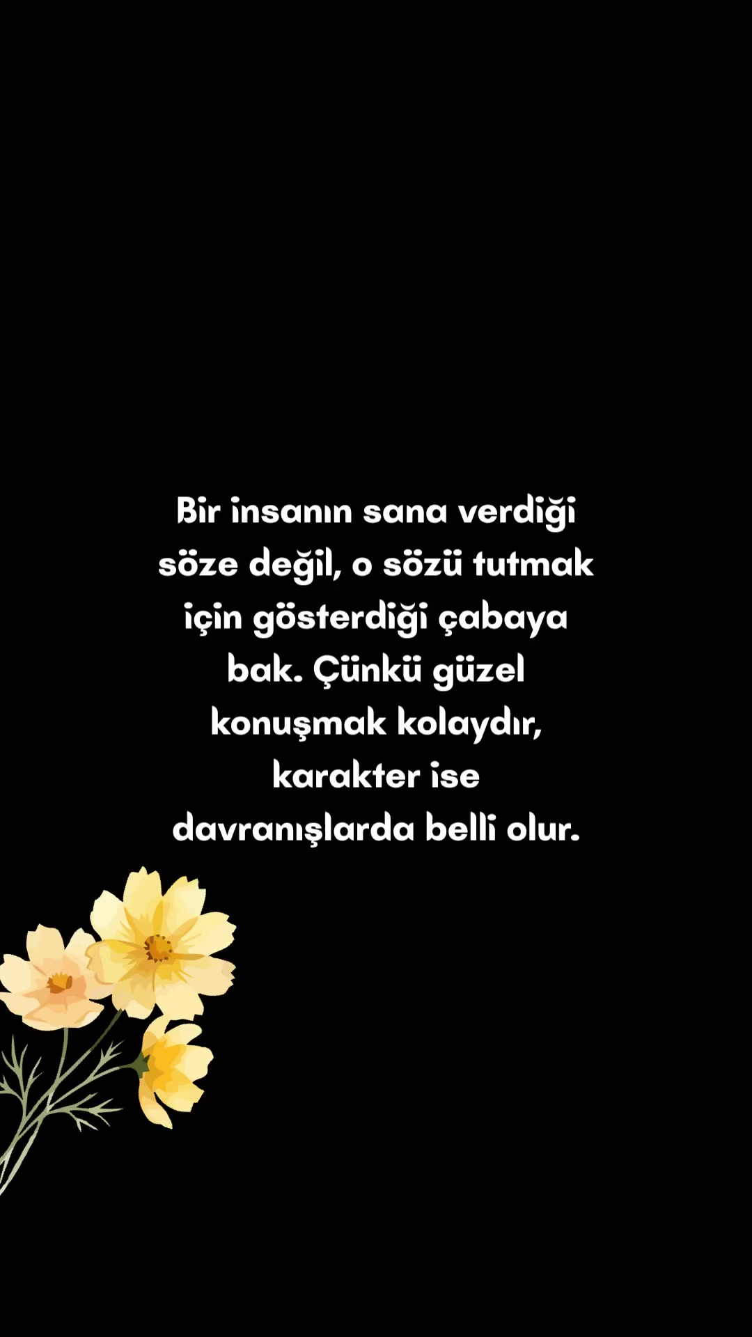@S&Ouml;ZL