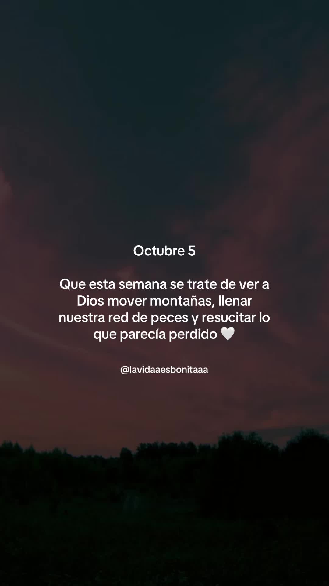 @vidabonita❤️🩹