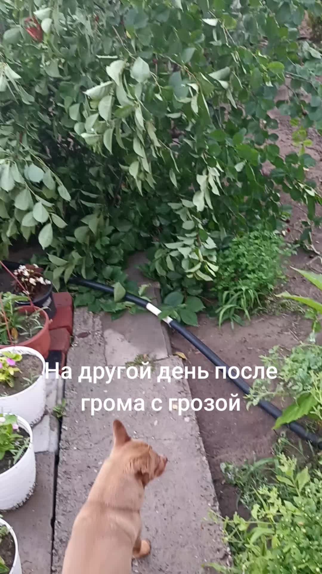 @Ирина Кизина