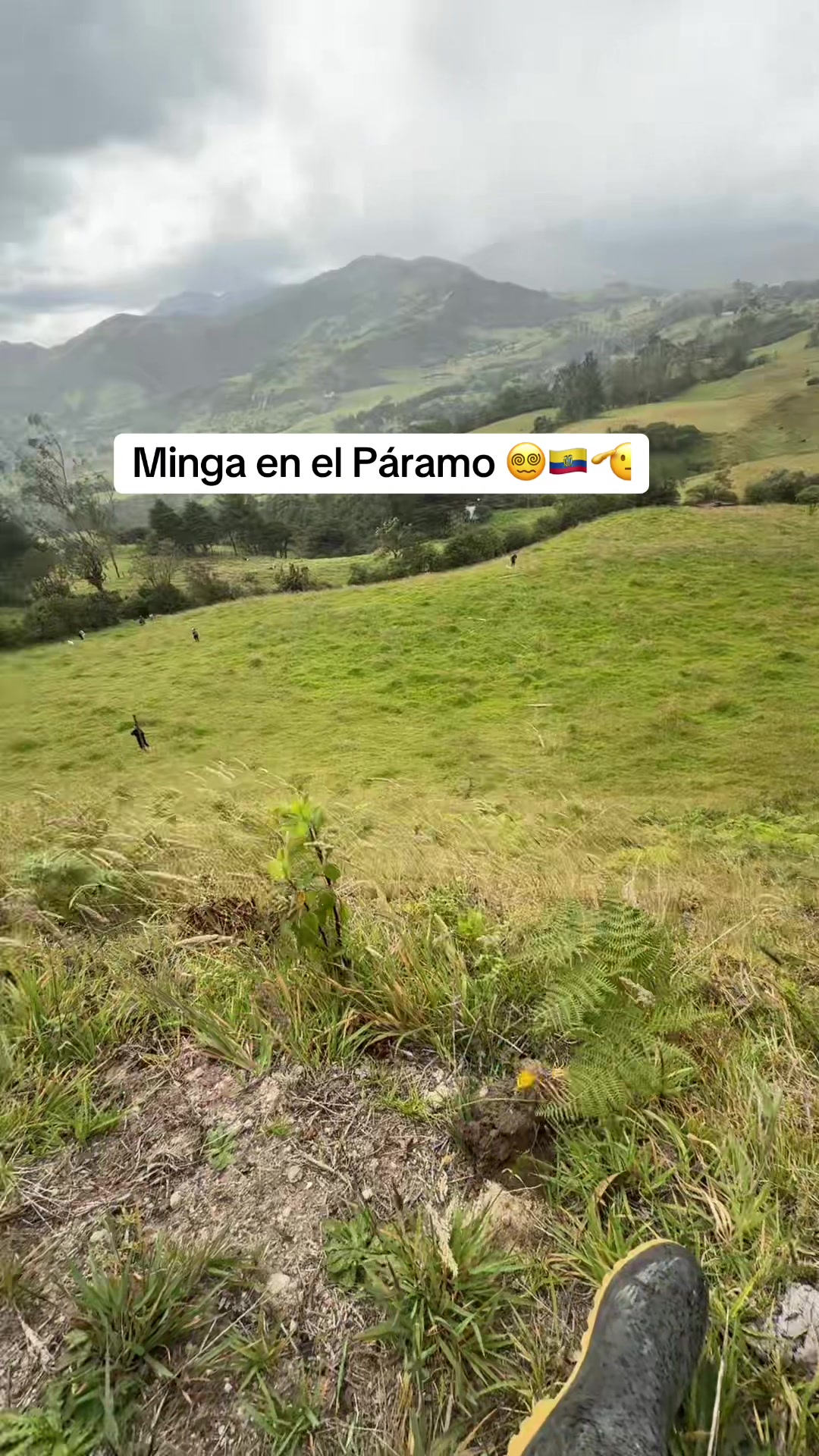 @GARA&Ntilde;&Oacute;N TV