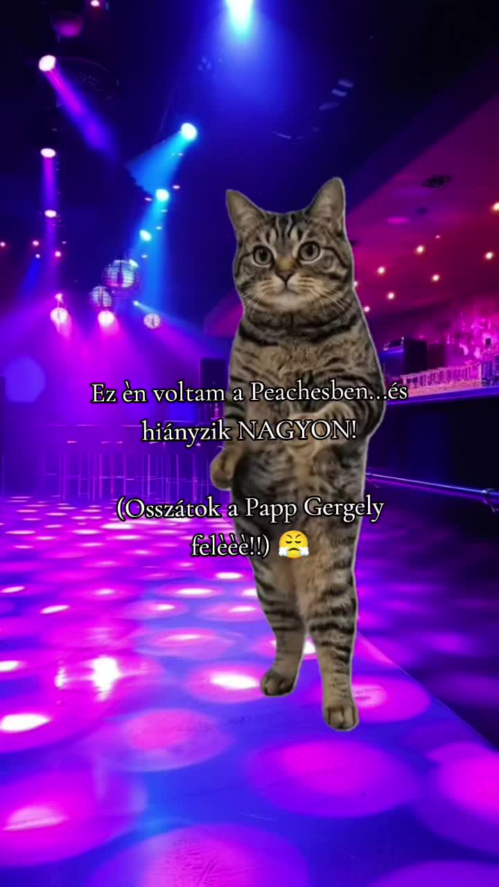 @✨𝓐𝓷𝓭𝓲𝓴𝓪✨