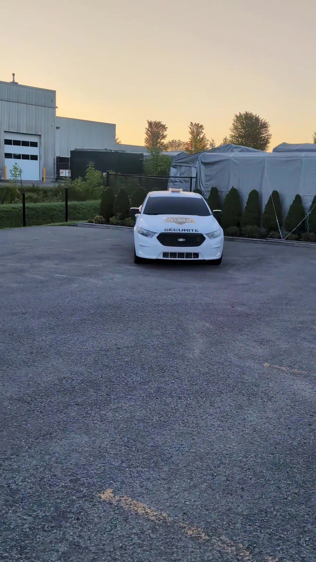 @Alfa Romeo