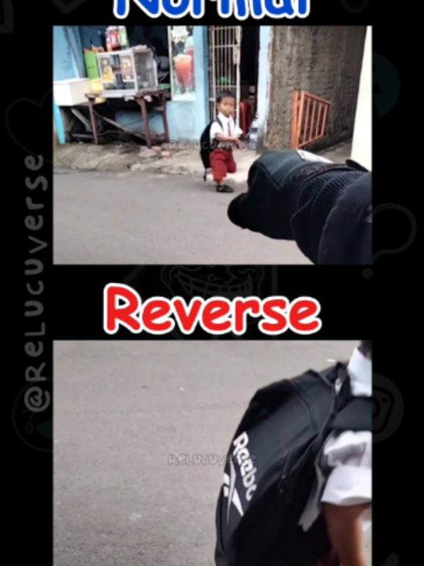 @ReLucuVerse