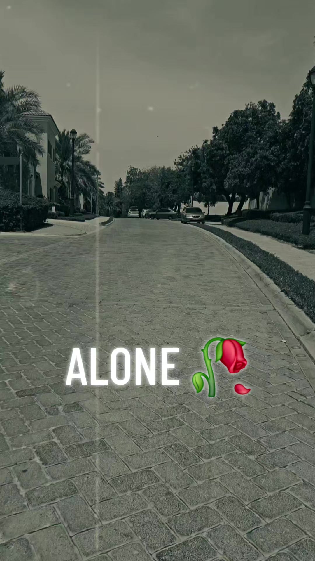 @Ali Shah