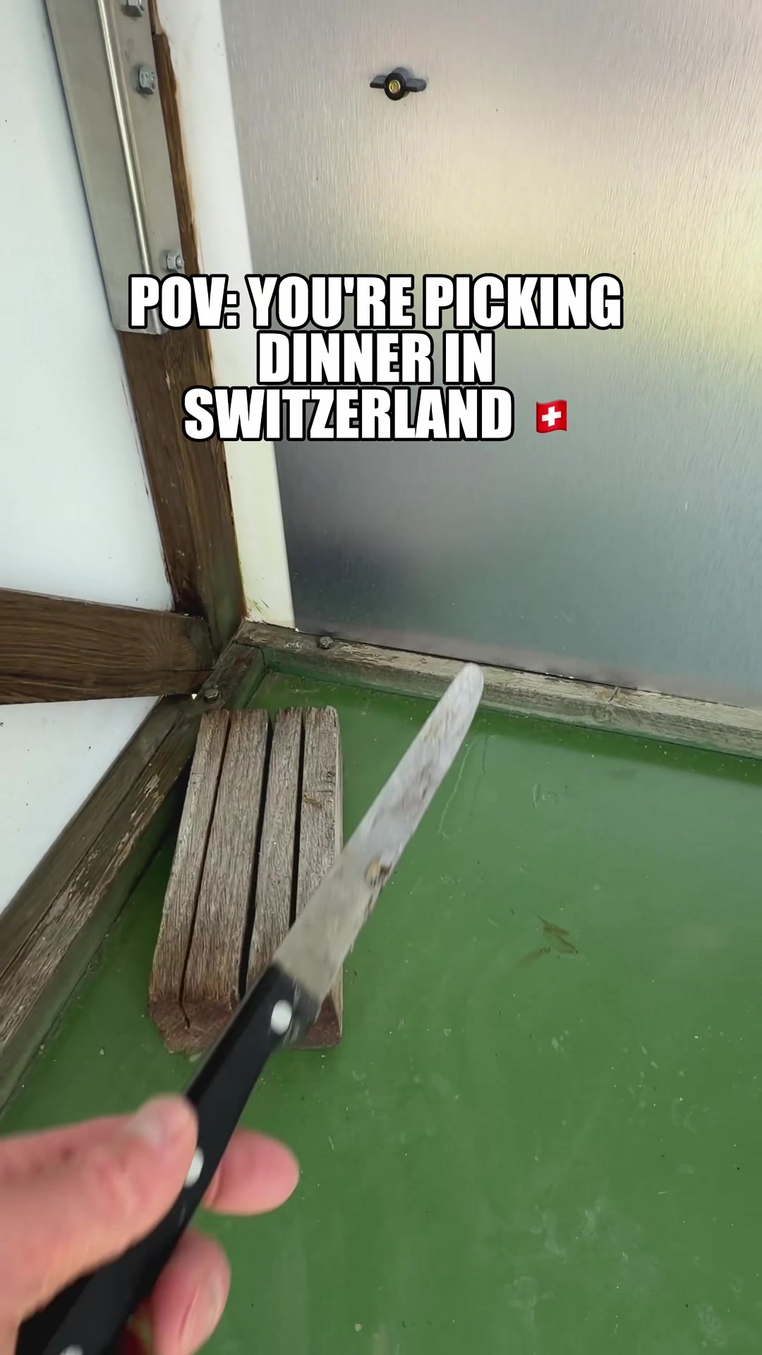 @THE FAMILY OF 5 SWITZERLAND