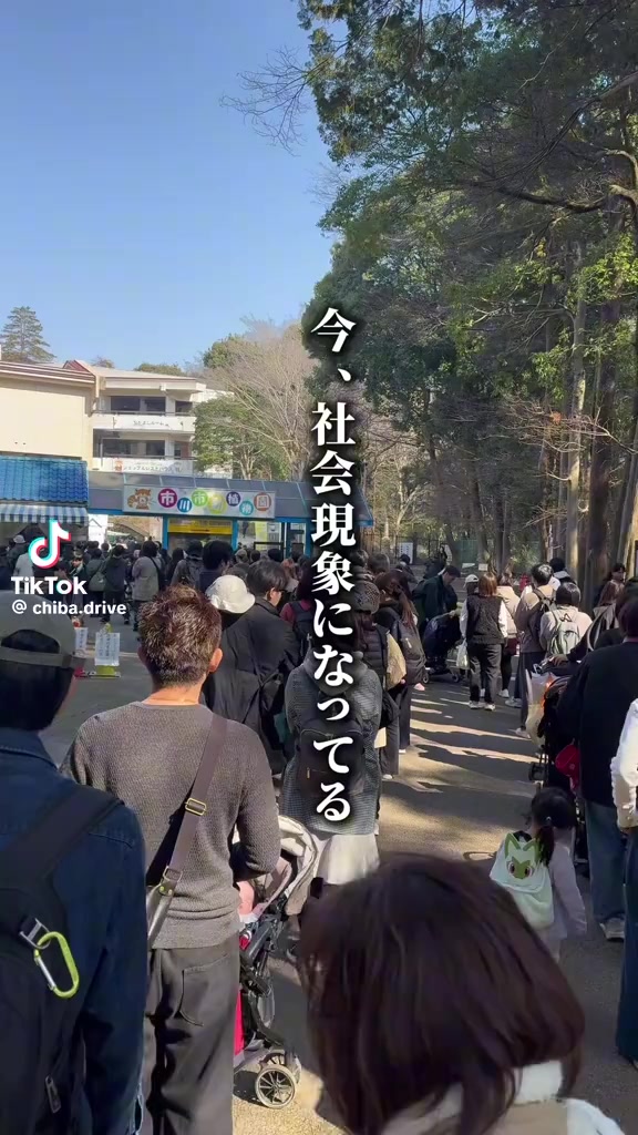 @⚜️🕌⚛️クロッケン⚛️🕌⚜️
