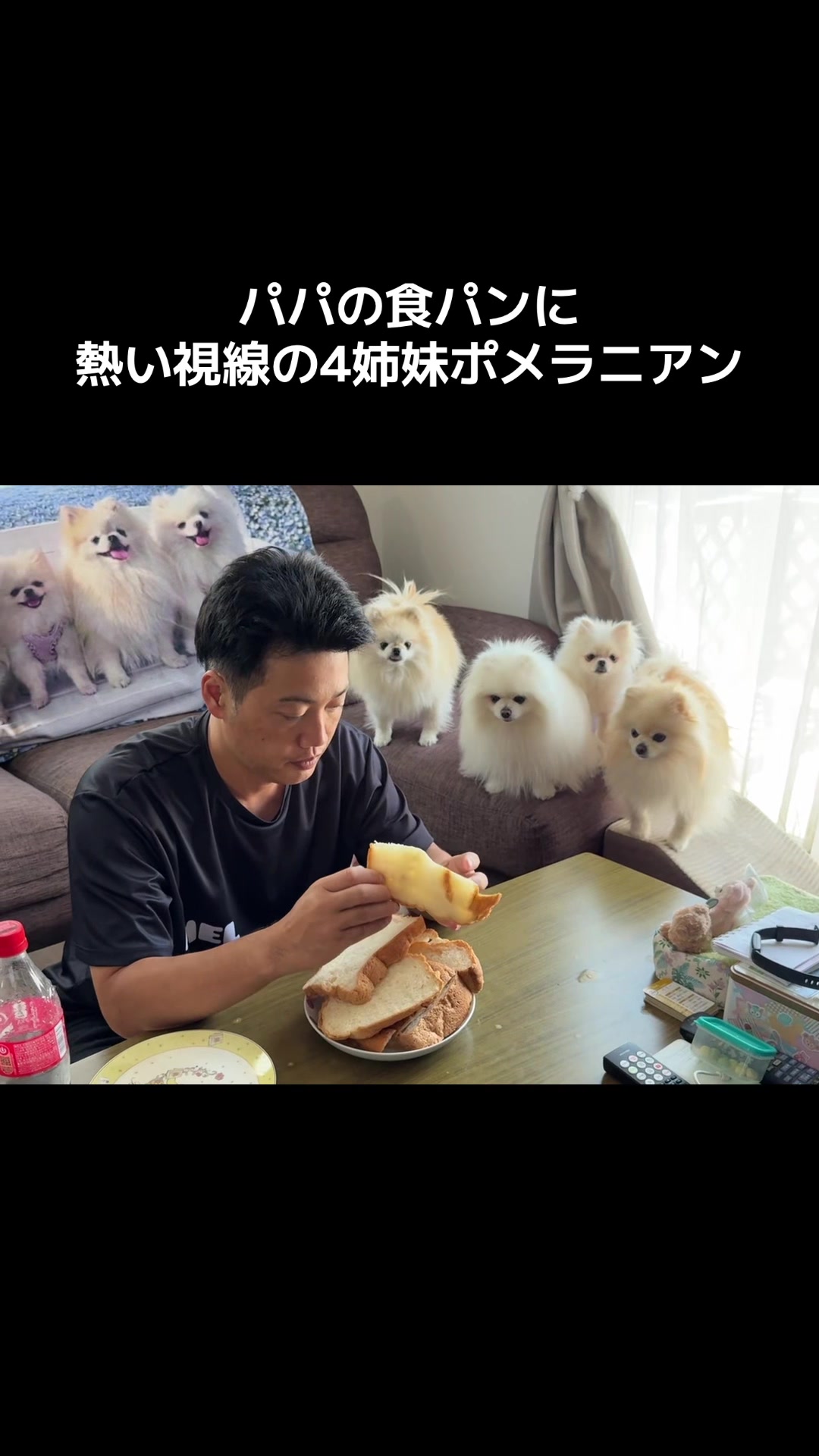 @なべちゃんチ🚐🐶🍊