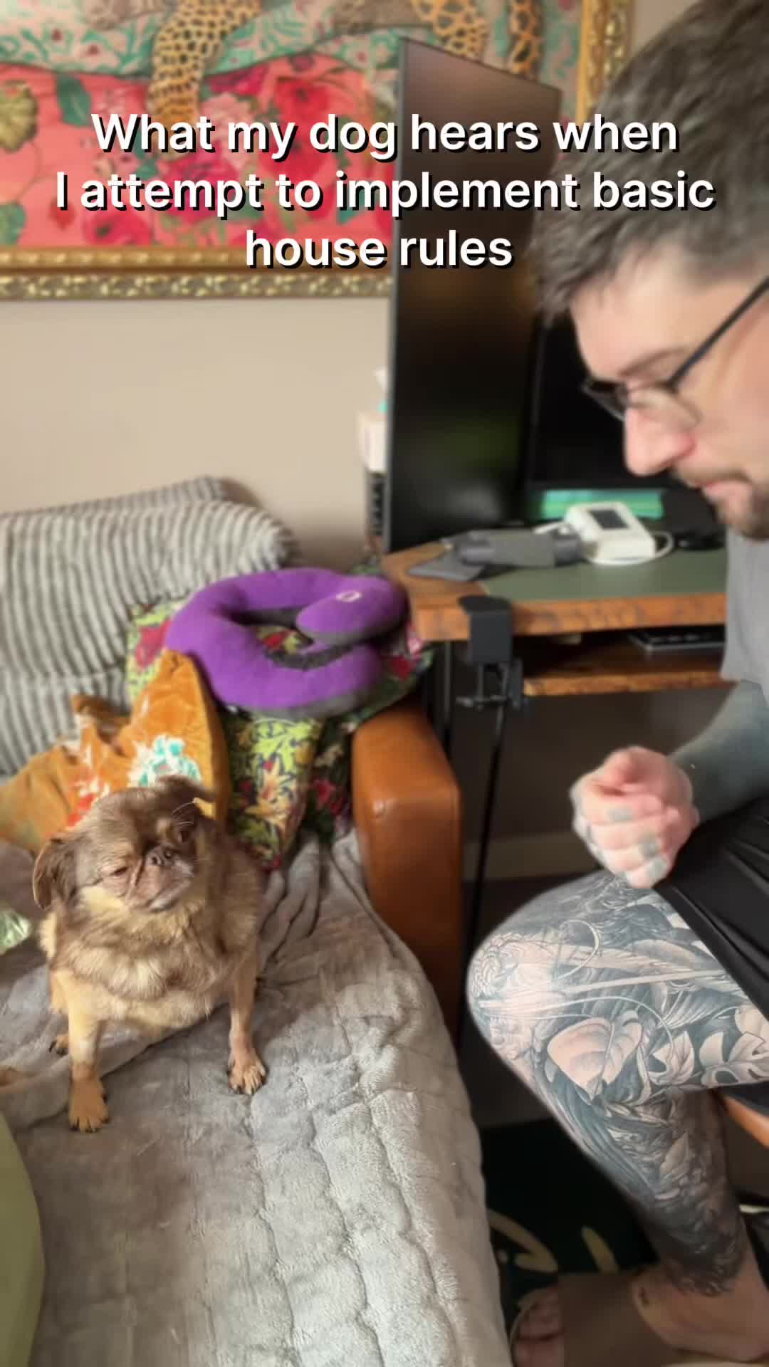 @ChilliThePug