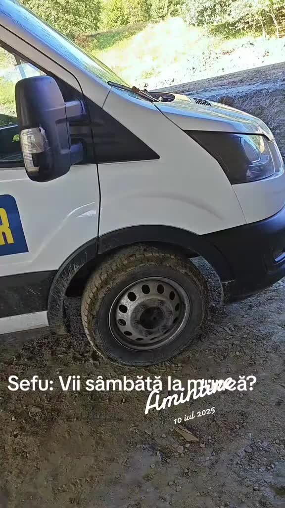 @ionut