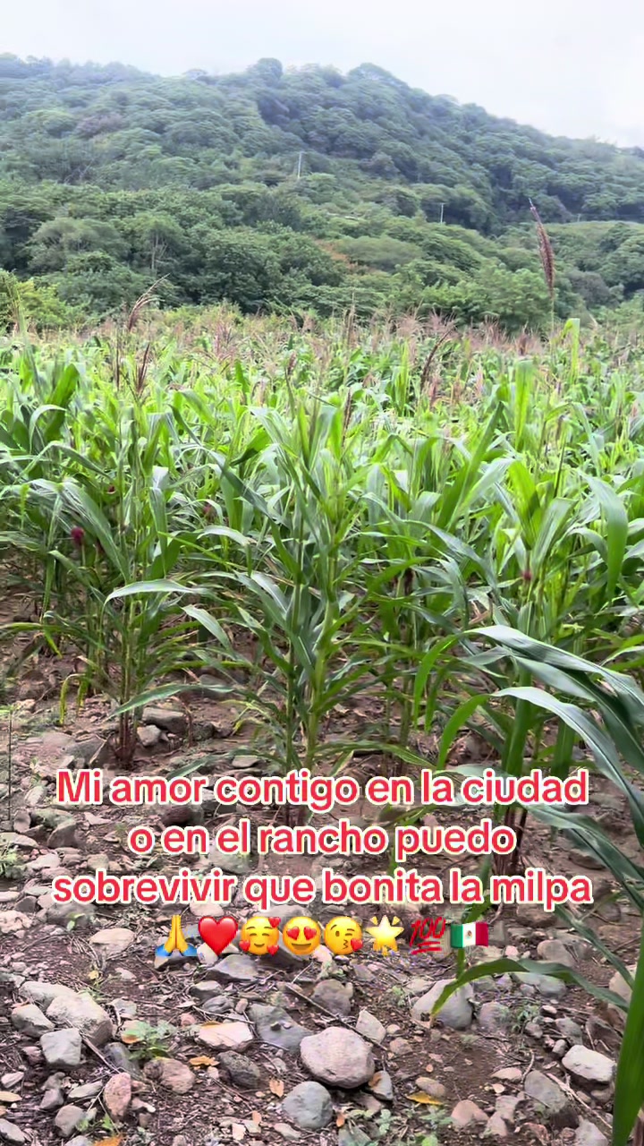 @ANA🇲🇽R🌟SRA Acero 🙏♥️💯