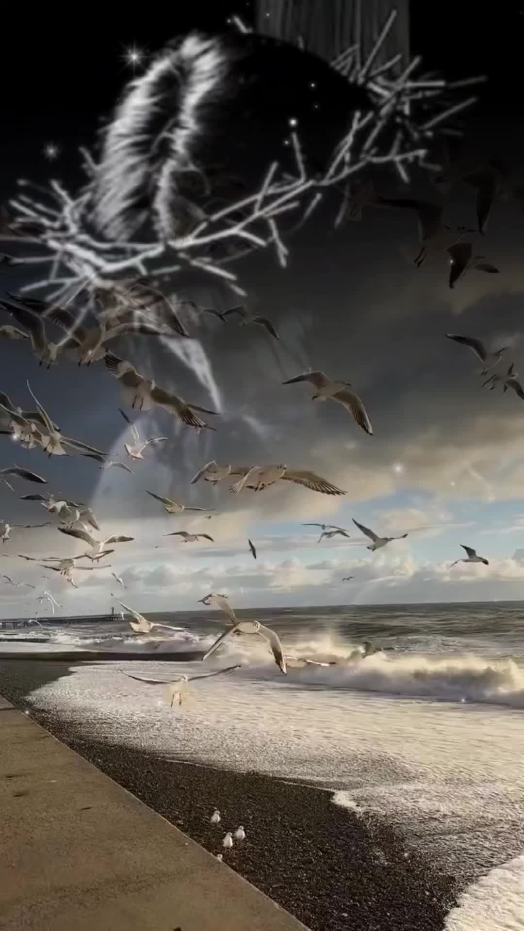 @corazónnoble121