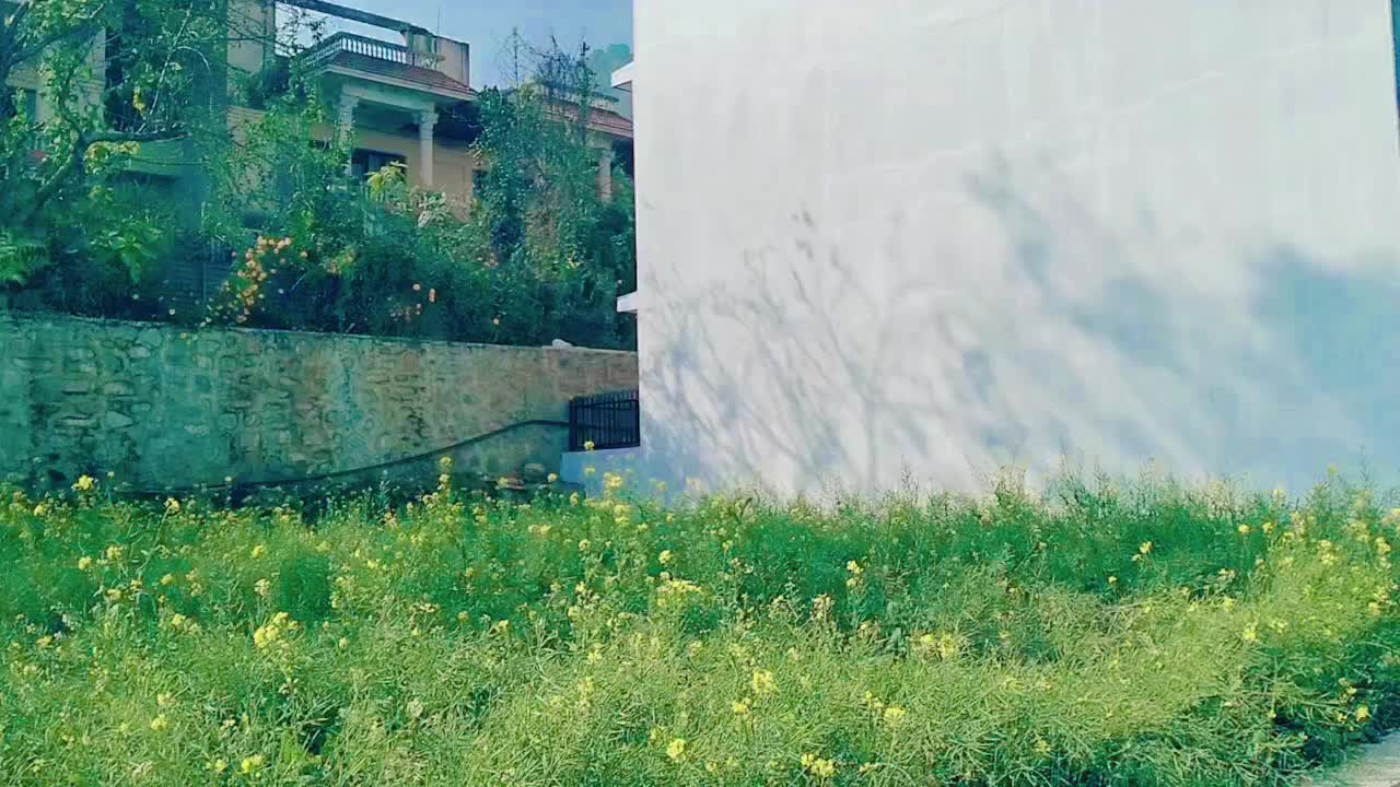 @amrita456