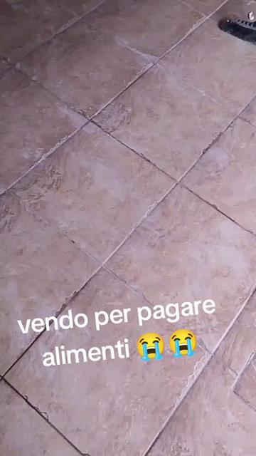 @vivi la vita 87 ๐๐๐
