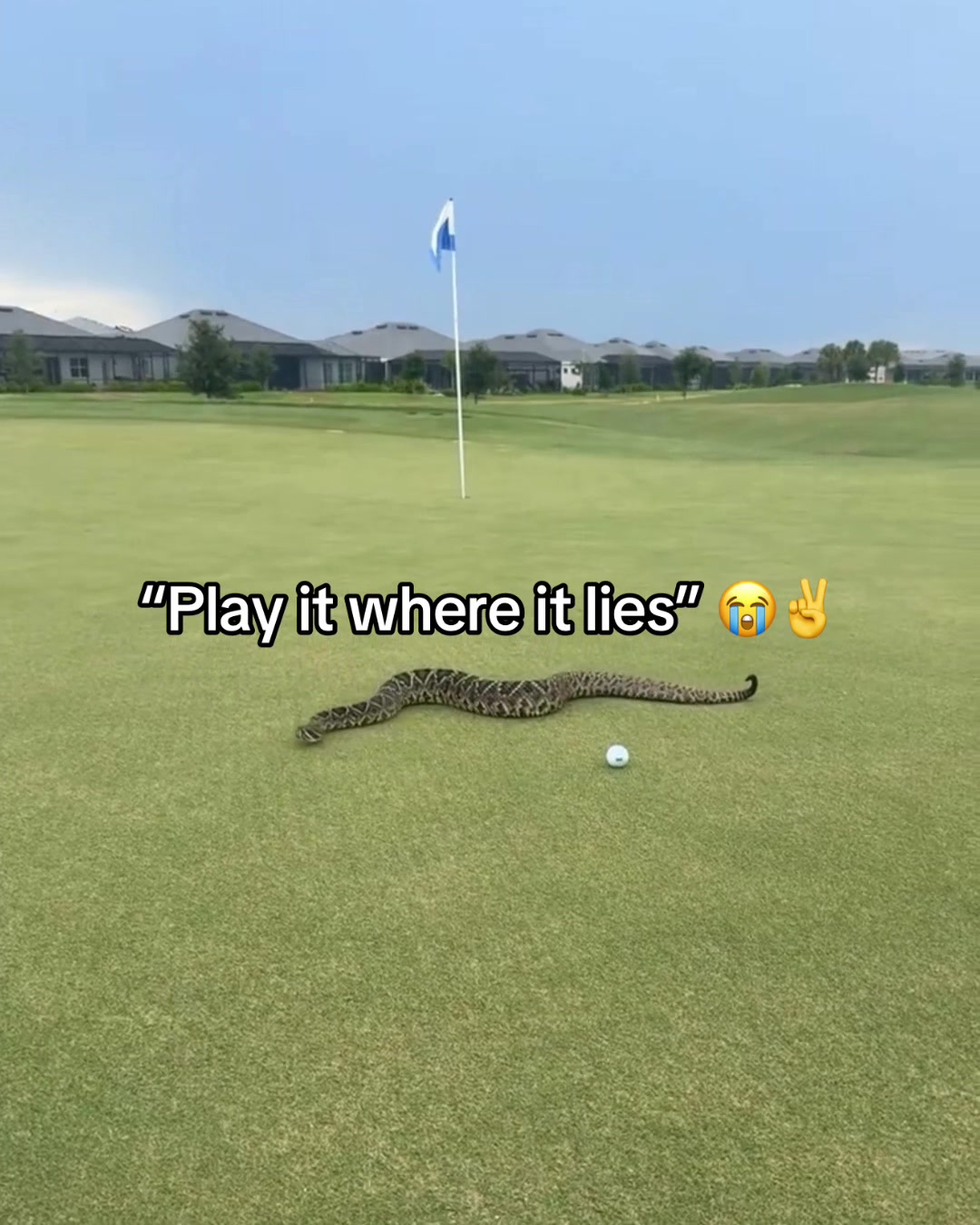 @ESPN