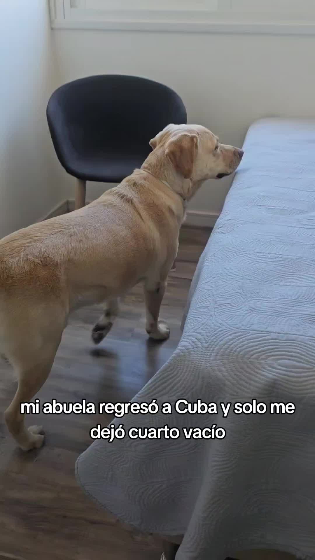 @Lancipoo🇨🇺💚🇺🇾