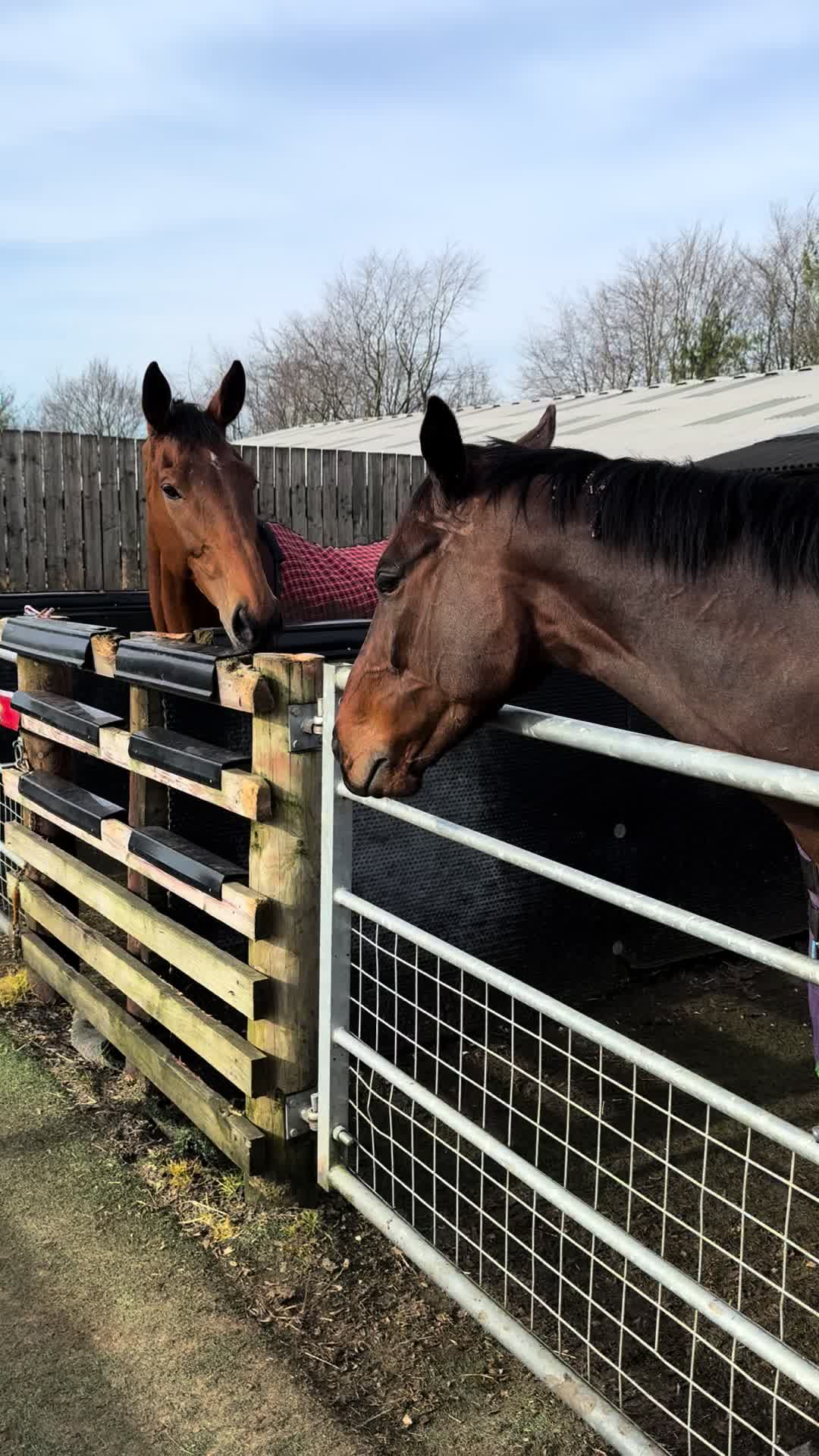 @Fergal O&rsquo;Brien Racing