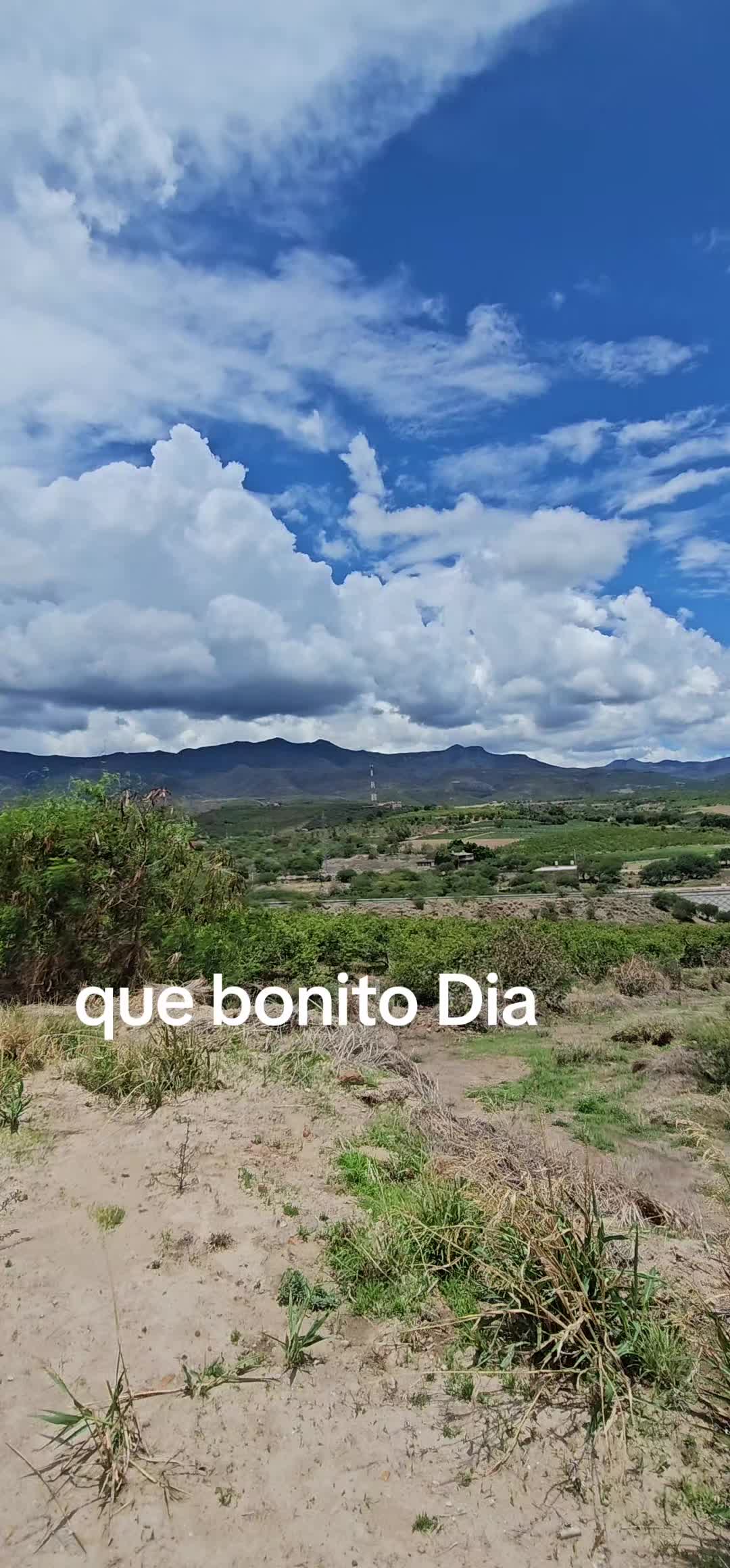 @memohuerta