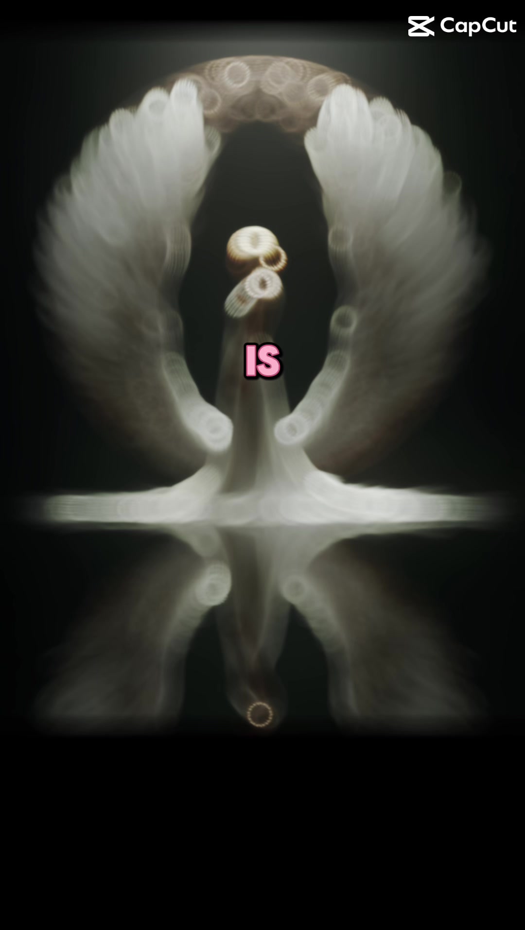 @Thoughtfull quotes