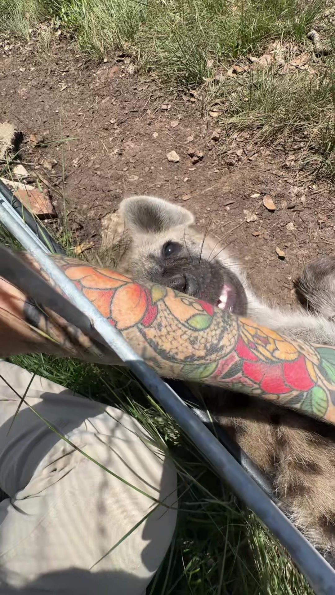 @Texas Wildlife Park