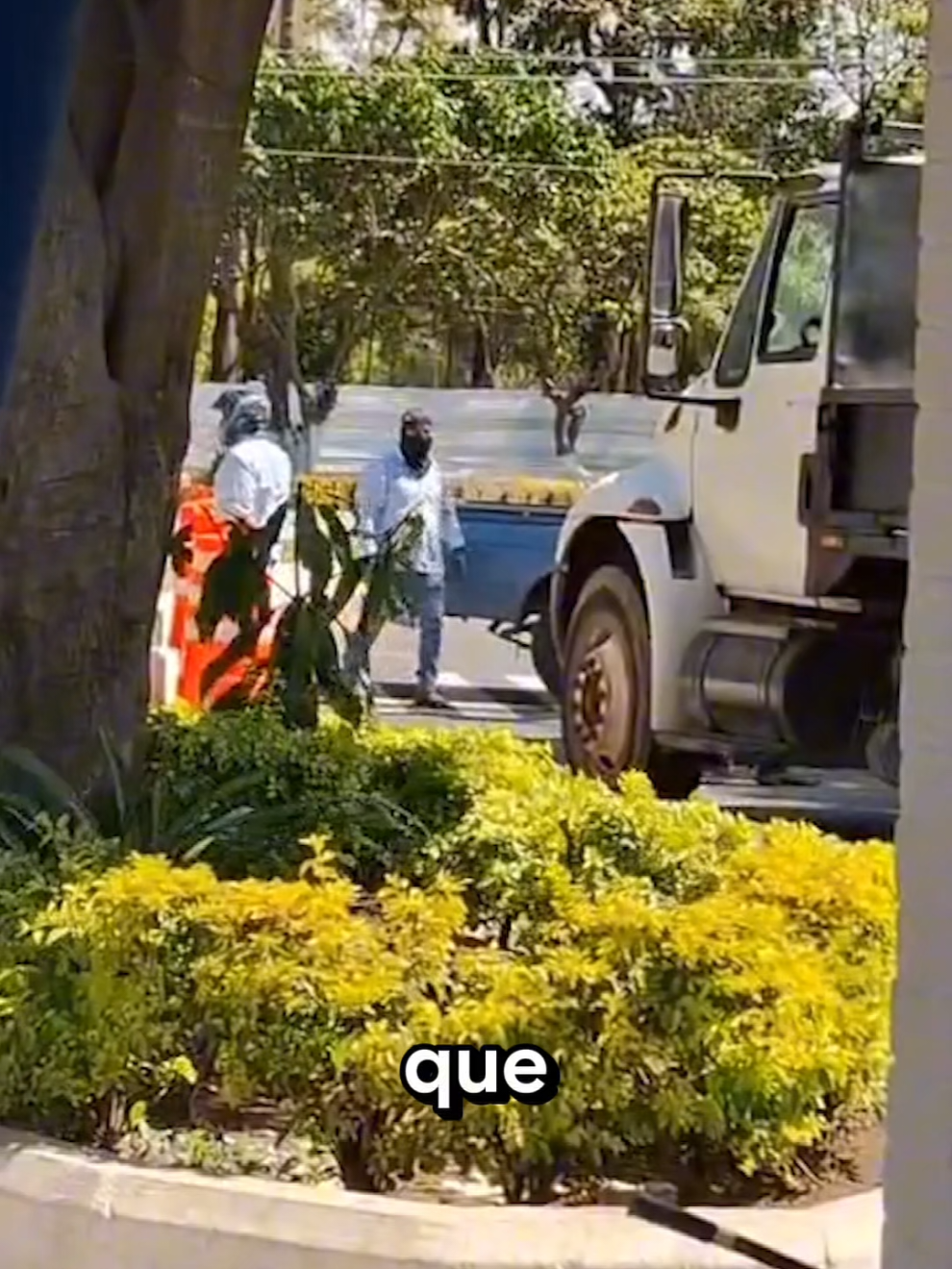 @José Chic