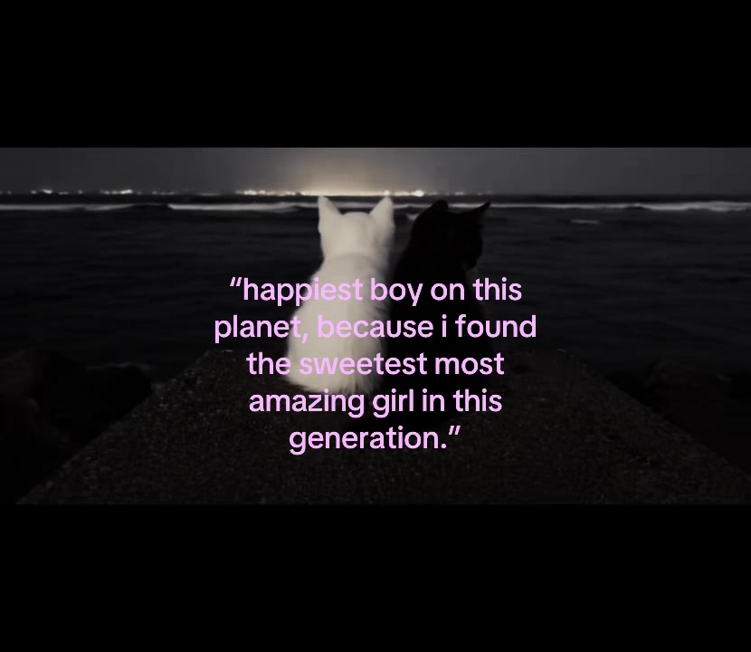 @K̷̢̛̜̲̘Ø̶̡̹̙Ł̸̢̜̟B̷̨̫̝Y̸̡̜̦ ꕤ