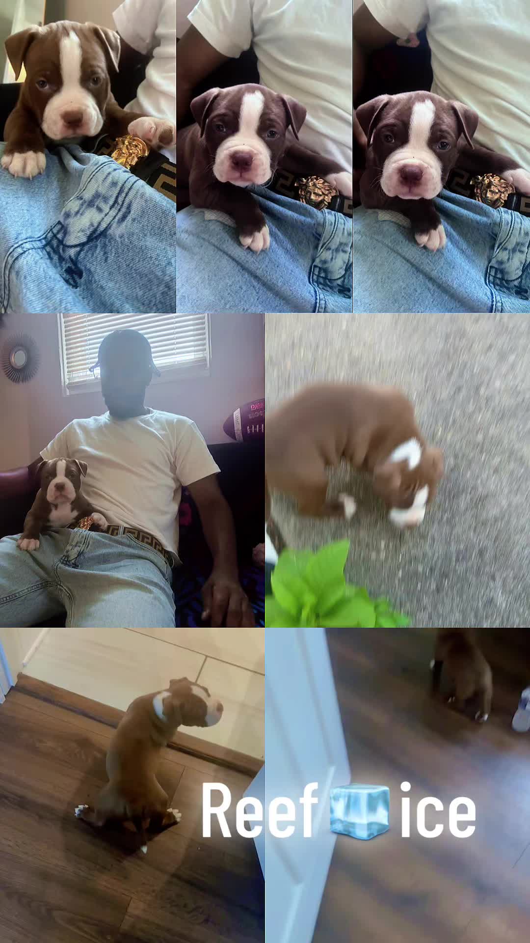 @Shareefjohnson0